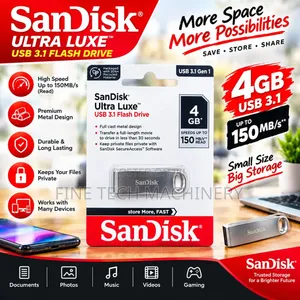 Sandisk Flash Drive
