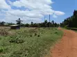 1/4 Acre Plot for Sale in Diani - 1