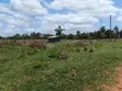 1/4 Acre Plot for Sale in Diani - 3