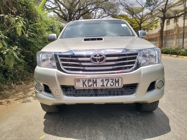 Toyota Hilux Double Cab 2010 Gold - 1