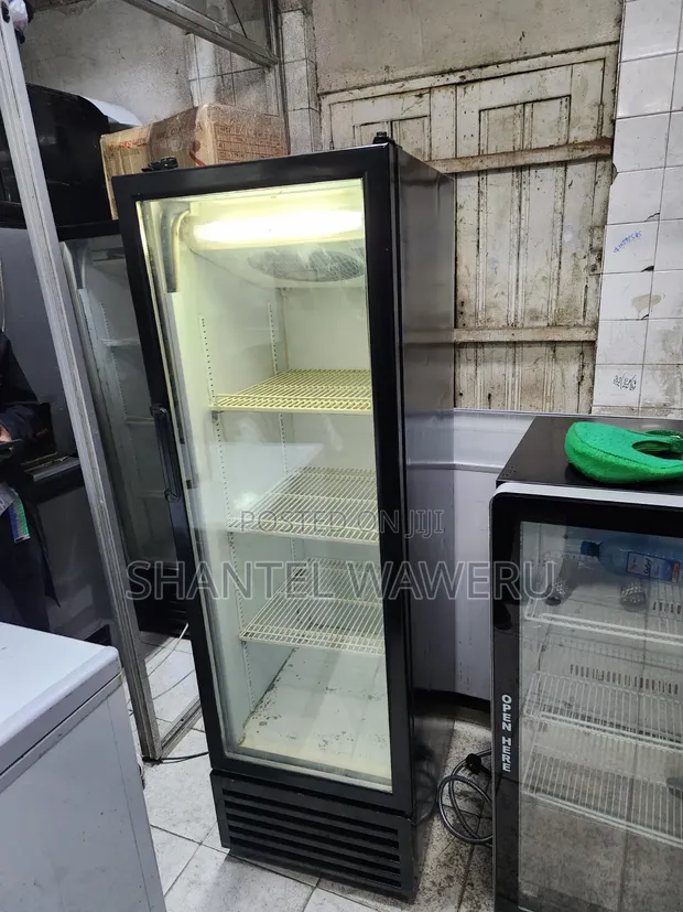 Display Refrigerator (Mirror Display Fridge) - 300L - 1