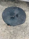 Traditional African Stool - Genuine Hide & Wood - 3