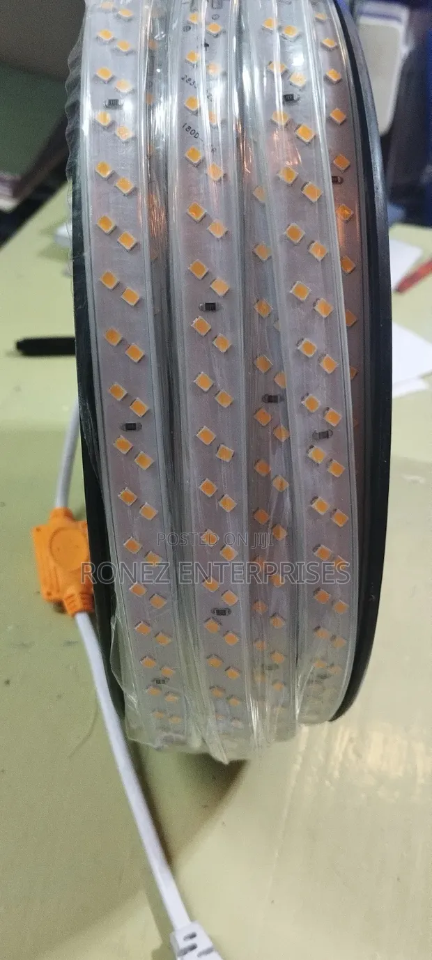 Snake Lights 30 Meters Double Line Strip Lights - 1