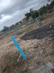 50x100 Corner Plot for Sale, Syokimau - 3