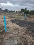 50x100 Corner Plot for Sale, Syokimau - 4