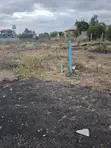 50x100 Corner Plot for Sale, Syokimau - 5