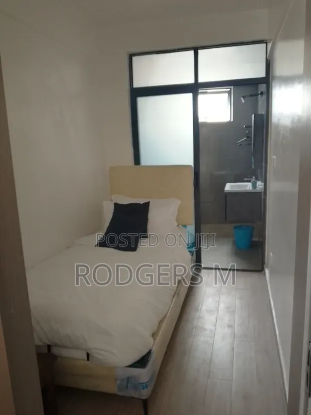 Furnished Studio Apartment, Riverside Drive - 1