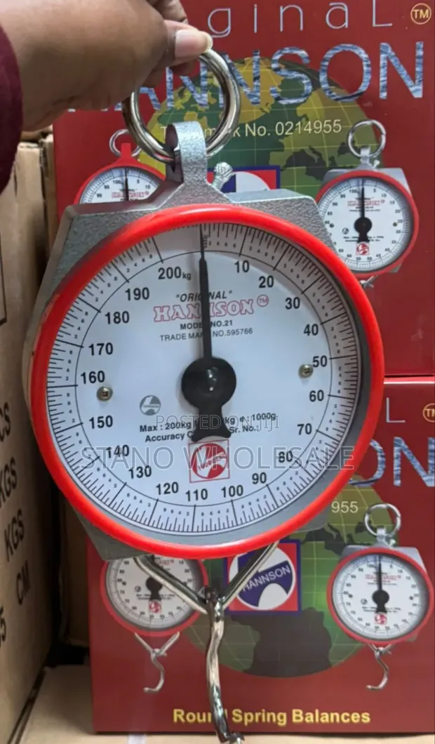 Crane 100kg Hanging Weighing Scale - 1