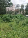 Ruaka Plot for Sale - 100x100 - 1
