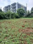 Ruaka Plot for Sale - 100x100 - 2