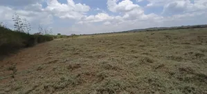 60 Acres Land for Sale - Mogotio, Baringo