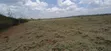 60 Acres Land for Sale - Mogotio, Baringo - 1