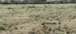 60 Acres Land for Sale - Mogotio, Baringo - 3