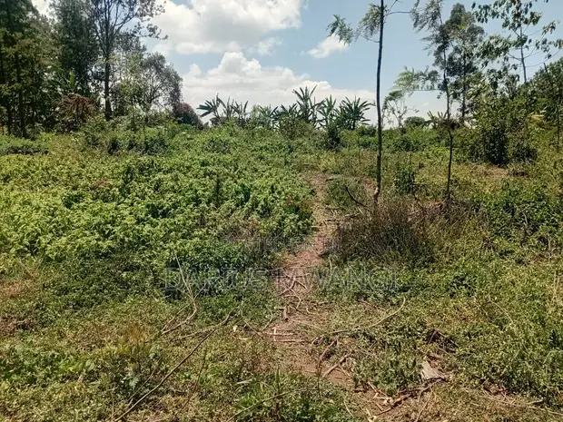 1 Acre Commercial Plot for Sale, Nakuru - 1