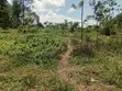 1 Acre Commercial Plot for Sale, Nakuru - 1