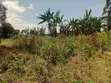 1 Acre Commercial Plot for Sale, Nakuru - 2