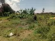 1 Acre Commercial Plot for Sale, Nakuru - 3