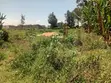 1 Acre Commercial Plot for Sale, Nakuru - 4