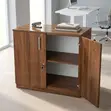 2-Door Wooden Credenza - 3