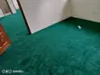 VIP Green Comfort Wall-to-Wall Carpet - 2