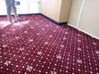 Presidential Flowered Office Wall-to-Wall Carpets - 1