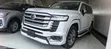 Toyota Land Cruiser LC300 2023 White - 1
