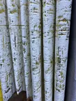 White Soft-Touch Heavy Velvet Curtains - 1