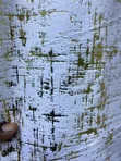 White Soft-Touch Heavy Velvet Curtains - 2