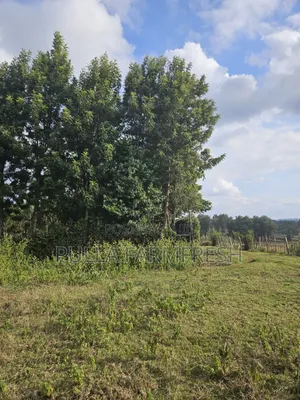 Prime 13 Acres Kikuyu Ondiri Land - Title Ready