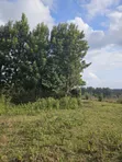Prime 13 Acres Kikuyu Ondiri Land - Title Ready - 1