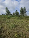 Prime 13 Acres Kikuyu Ondiri Land - Title Ready - 3