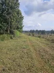 Prime 13 Acres Kikuyu Ondiri Land - Title Ready - 5