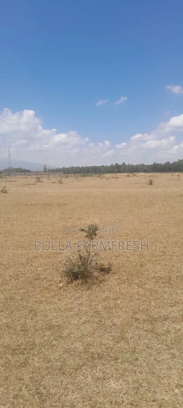 Prime 5 Acre Land in Nanyuki Nturukuma with Title Deed - 1