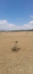 Prime 5 Acre Land in Nanyuki Nturukuma with Title Deed - 1