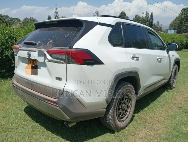 Toyota RAV4 2019 Hybrid - 1