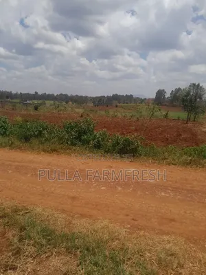 Prime 50x100 Plot in Ruiru Mugutha with Ready Title