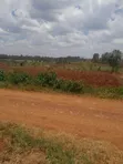 Prime 50x100 Plot in Ruiru Mugutha with Ready Title - 1