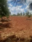Prime 50x100 Plot in Ruiru Mugutha with Ready Title - 3