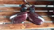 Toyota Passo Sette Side Mirror (Used) - 4