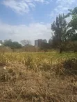 TRM Thika Road 1/2 Acre Commercial Plot to Let Near USIU - 3