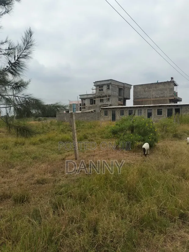 Prime Plots for Sale in Murera, Juja - 1