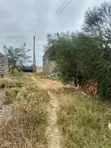 Prime Plots for Sale in Murera, Juja - 4