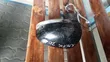 Toyota Ractis Side Mirror (2011) - 1