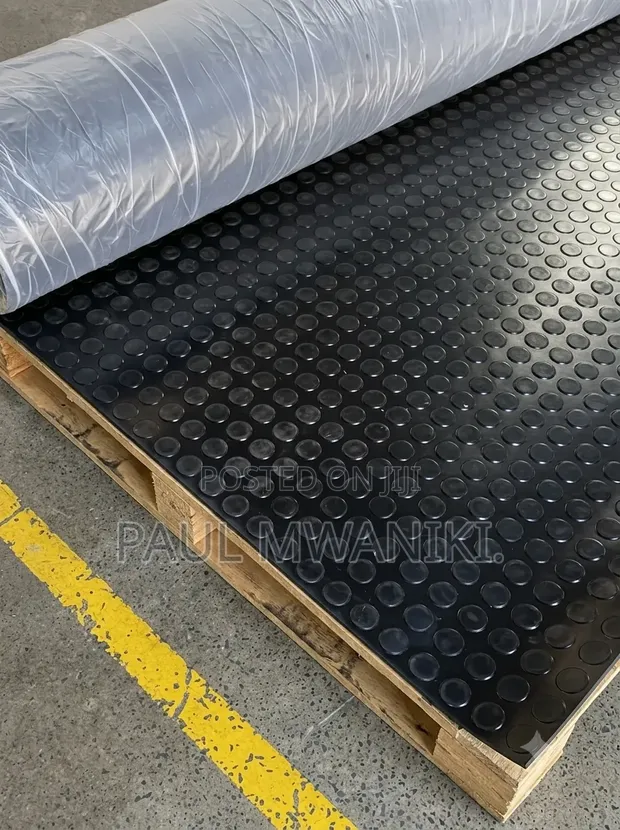 Premium Coin Studded Anti-Slip Rubber Mats - 1