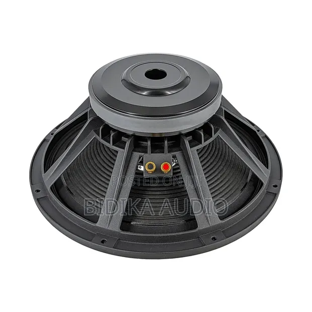 Derwel 15 Inch Naked PA Speaker Driver - 1