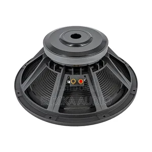 Derwel 15 Inch Naked PA Speaker Driver