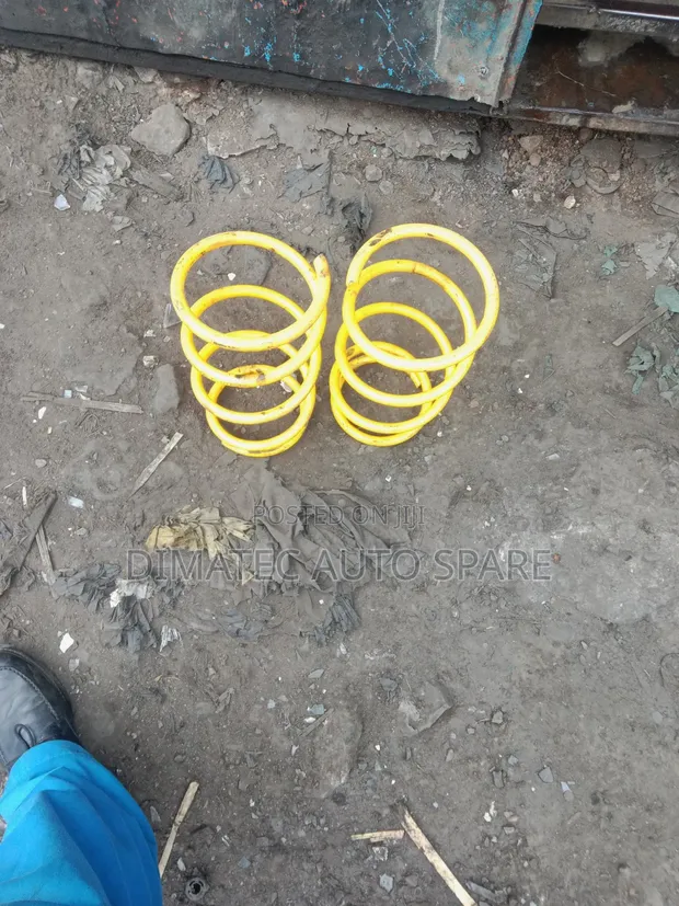 Heavy Duty Coil Spring - Toyota - 1
