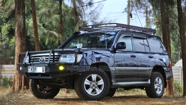 Toyota Land Cruiser 2003 Blue - 1