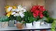 Artificial Flowers Table Set - Brand New - 1