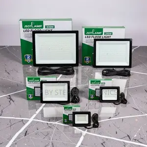 Energy Saving AC Electric Flood Lights (30W-300W)